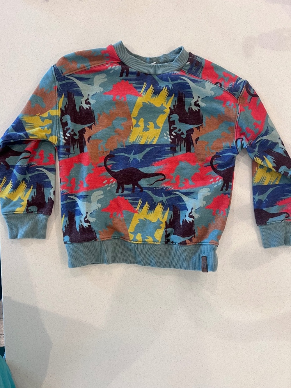 Dinosaur sweatshirt